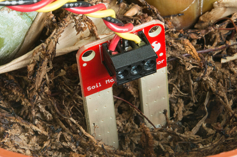 Soil Moisture Sensor: The Ultimate Guide for Beginners